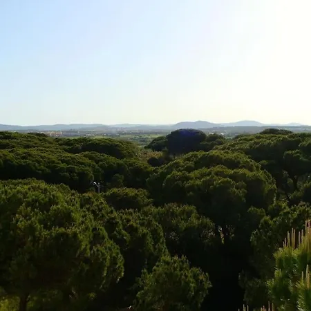 Calm Sunny Near Falesia Apartament
